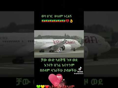 ቪዲዮ: ዋው አየር መንገዶች ተዘግተዋል?