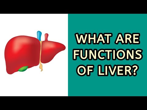 The Liver and its function (by Neurotech Lectures)