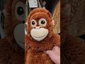 Panchi-kun monkey best friend Ikea Orangutan DJUNGELSKOG #shorts #viral