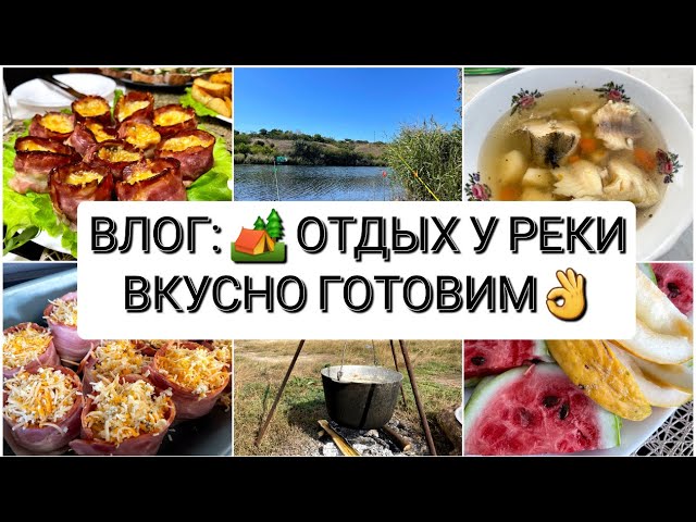 Собираем урожай ягод и готовим растения к отдыху