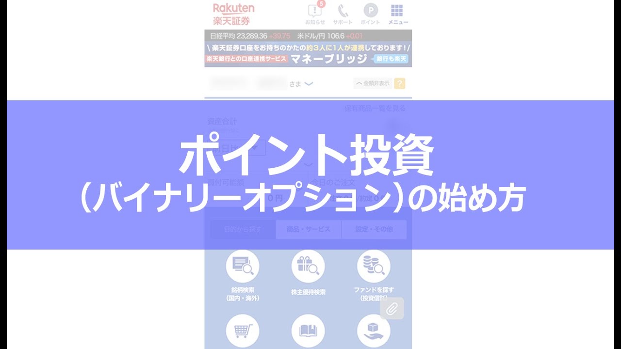 ポイント投資（バイナリーオプション） | ポイント投資 | ポイントプログラム | サービス案内 | 楽天証券