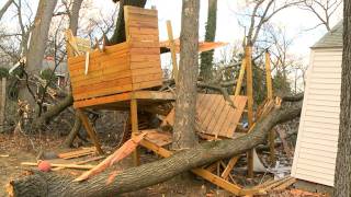 Wind Damage