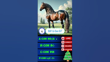 P11 THỬ THÁCH NHÌN ẢNH ĐOÁN TÊN CON VẬT #cartoon #funny #memes #games