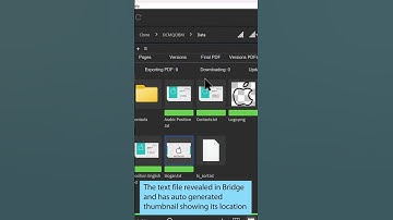 Easily reveal in bridge the text files associated with the Live Snippets #Shorts #AdobeInDesign