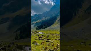 #insturmentals #instumentalmusic #bollywood #love