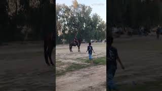 صادق السيد