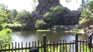 2016 0419   WDW Animal Kingdom   Tree of Life