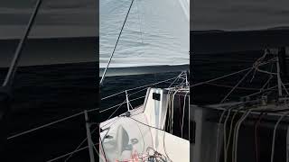mini 6.50 mini transat classe mini | Sailing boat for sale | Denmark | Scanboat