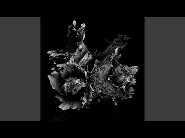 Spotlights - Continue The Capsize