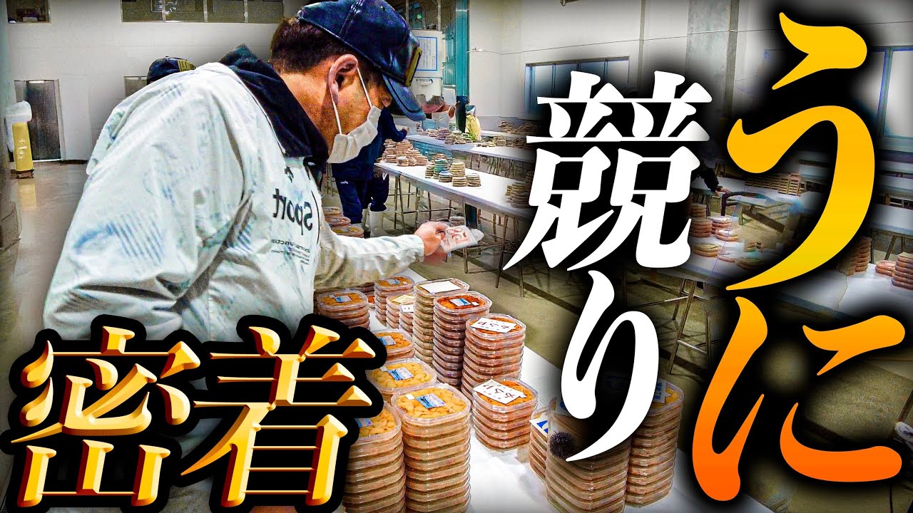 たった15分で1,000万円が動く。最高級ウニ産地の競りに密着！【北海道/羅臼】