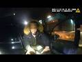 Couple's Epic Fleeing Police Fails - Foot & Car Chases