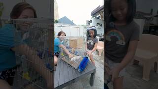 Mommy and Me Cleaning our Pet Bird Cage