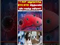 ''7 ஊசி'' புற்றுநோய்க்கு BYE BYE! இந்தியாவின் புதிய மருந்து அறிமுகம்