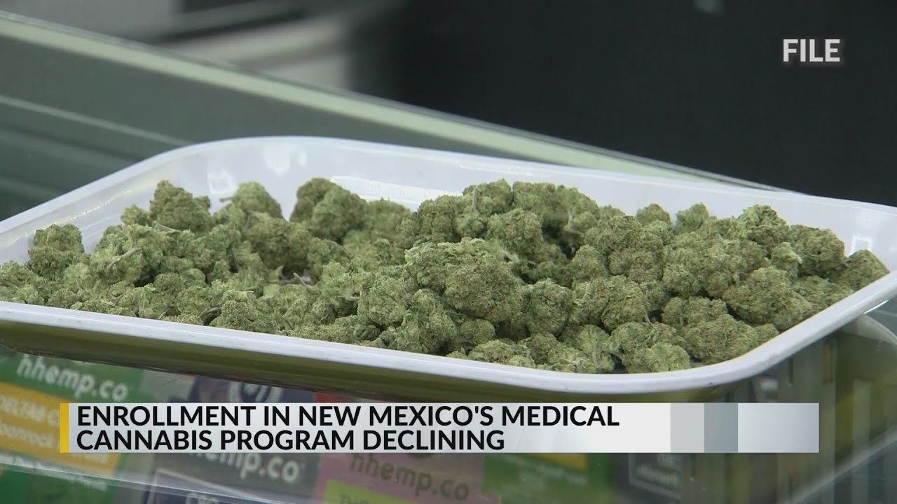 Enrollment in New Mexico's medical cannabis program declining