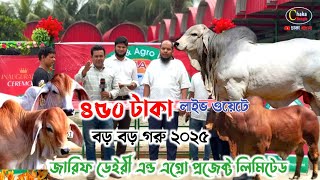 ২০২৫ সালে ৪৫০ টাকা লাইভ ওয়েটে কোরবানির গরু দিতে চান 'জারিফ ডেইরী এন্ড এগ্রো প্রজেক্ট লিমিটেড।।