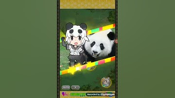 Kemono friends 3: Giant panda