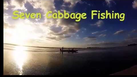 Bateau XF20 Boat Build 2019 Photos That Didnt Make Youtube