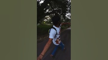 Javelin throw in insta 360 cam 😍 #reelsinstagram #creativity #camera #life360withamith #reels