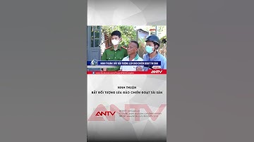 Ninh Thuận: Bắt đối tượng lừa đảo chiếm đoạt tài sản | ANTV #shorts