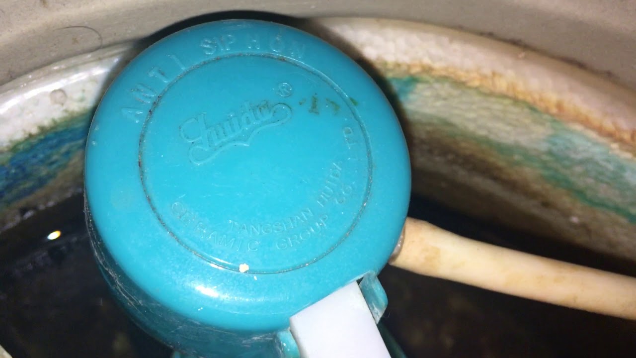 2007 or 2008 Foremost Dual Flush Toilet YouTube