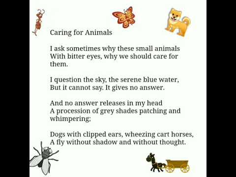 CARING FOR ANIMALS, CLASS 12, ENGLISH