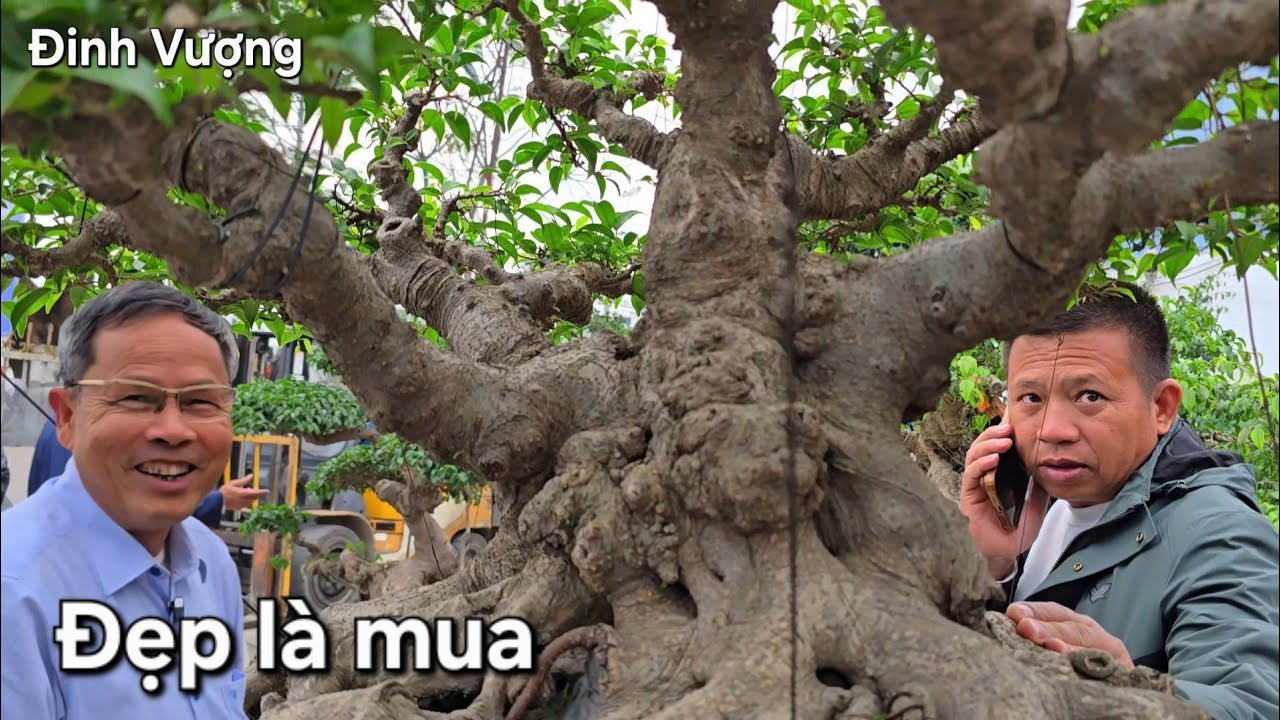 Gặp cây ưng ý bác Thủy chốt nhanh như chớp 