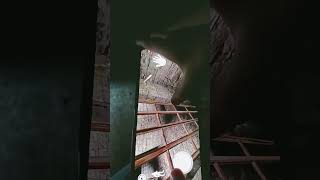 ١٢ أغسطس ٢٠٢٥