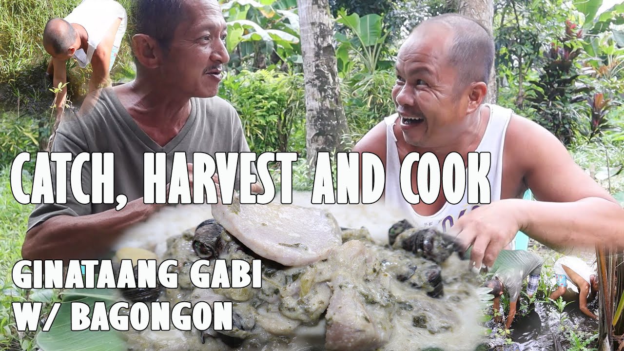 CATCH AND COOK BAGONGON | GINATAANG GABI