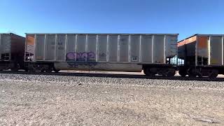 A Northbound BNSF #5983 Empty Energy Coal Train
