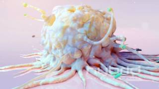 Macrophage Opener Piece