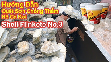 Hướng Dẫn Quét Sơn Shell Flinkote No.3 - Chống Thấm Hồ Cá Koi Và Cách Xử Lý Nước Để Thả Cá #hokoi