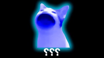 13 Pop cat sound variations seconds