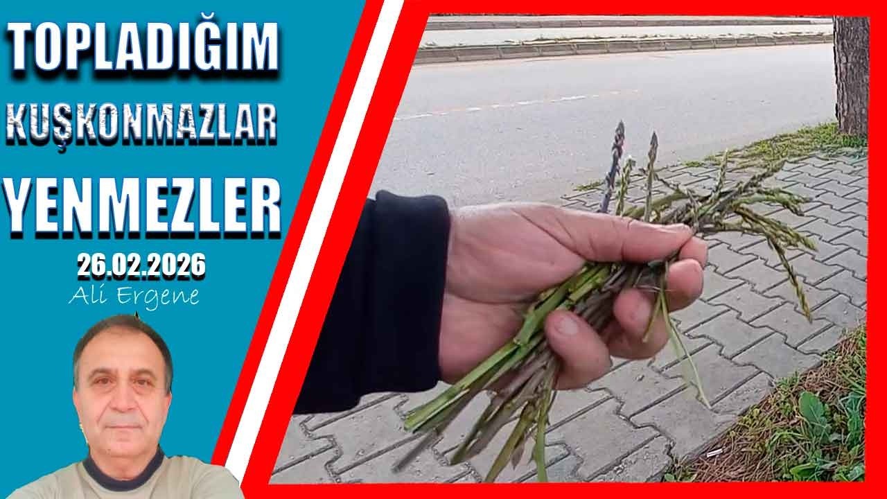 Topladığım kuşkonmazları yemeye cesaret edemedim | Turkin Uutiset ᴴᴰ