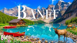 Banff National Park 4K – Grizzly Bears, Turquoise Lakes & Rocky Mountain Wilderness