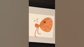 #ipad #applepencil #ipaddrawing #digitalart #artworkout #apps #digitaldrawing #shorts