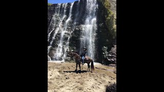 Second Most Common Problem I See With Gaited Horses