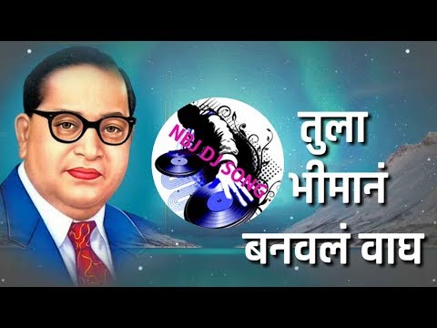Tula Bhiman Banaval Wagh Electro House Mix - Dj