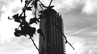 EBB AND FLOW (Barbican Snapshots)