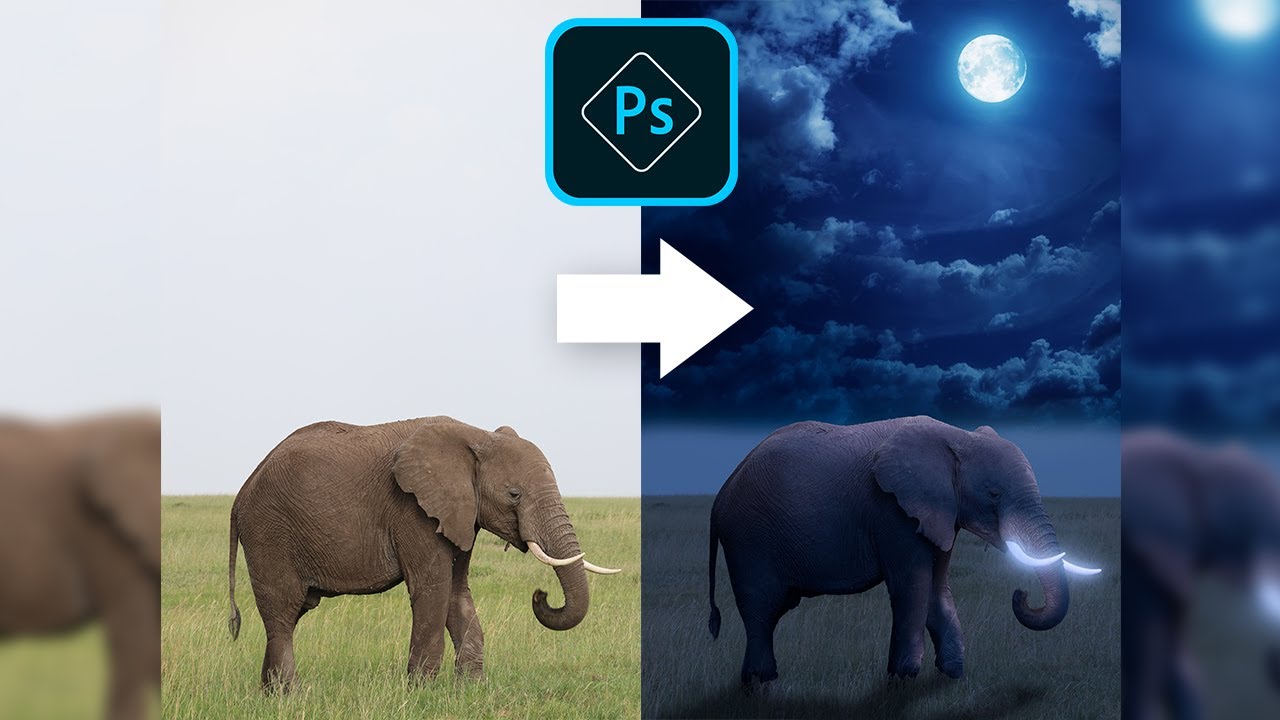 Glowing Elephant Photo Manipulation Effect Photoshop Tutorial