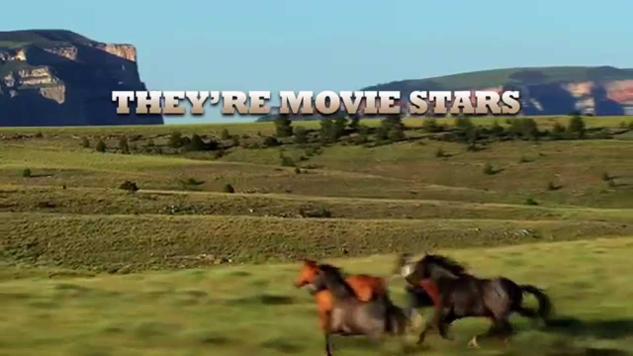 Montana Film Office iPhone App: The Stampede