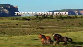 Montana Film Office iPhone App: The Stampede screenshot 3