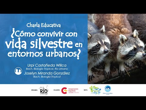 Video: Lección de vida silvestre en el patio trasero: enseñar a los niños sobre la vida silvestre en el jardín