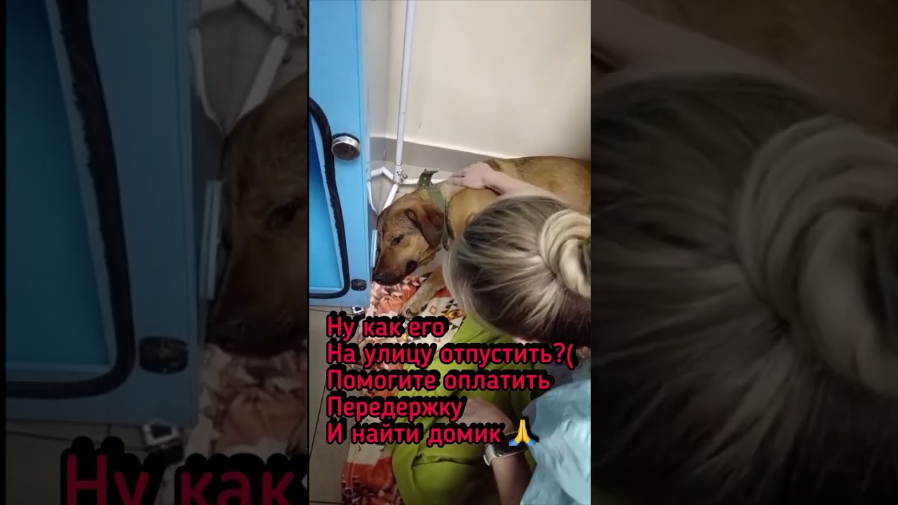 5469 5400 1682 1595 сбер