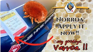 New Approach Against Varroa!