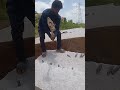 Granite videos