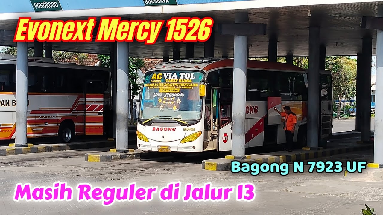 BUS INI TIDAK PERNAH PARKIR DI TRENGGALEK‼️BAGONG 7923 selalu mulai dari Gayatri Tulungagung❗😊