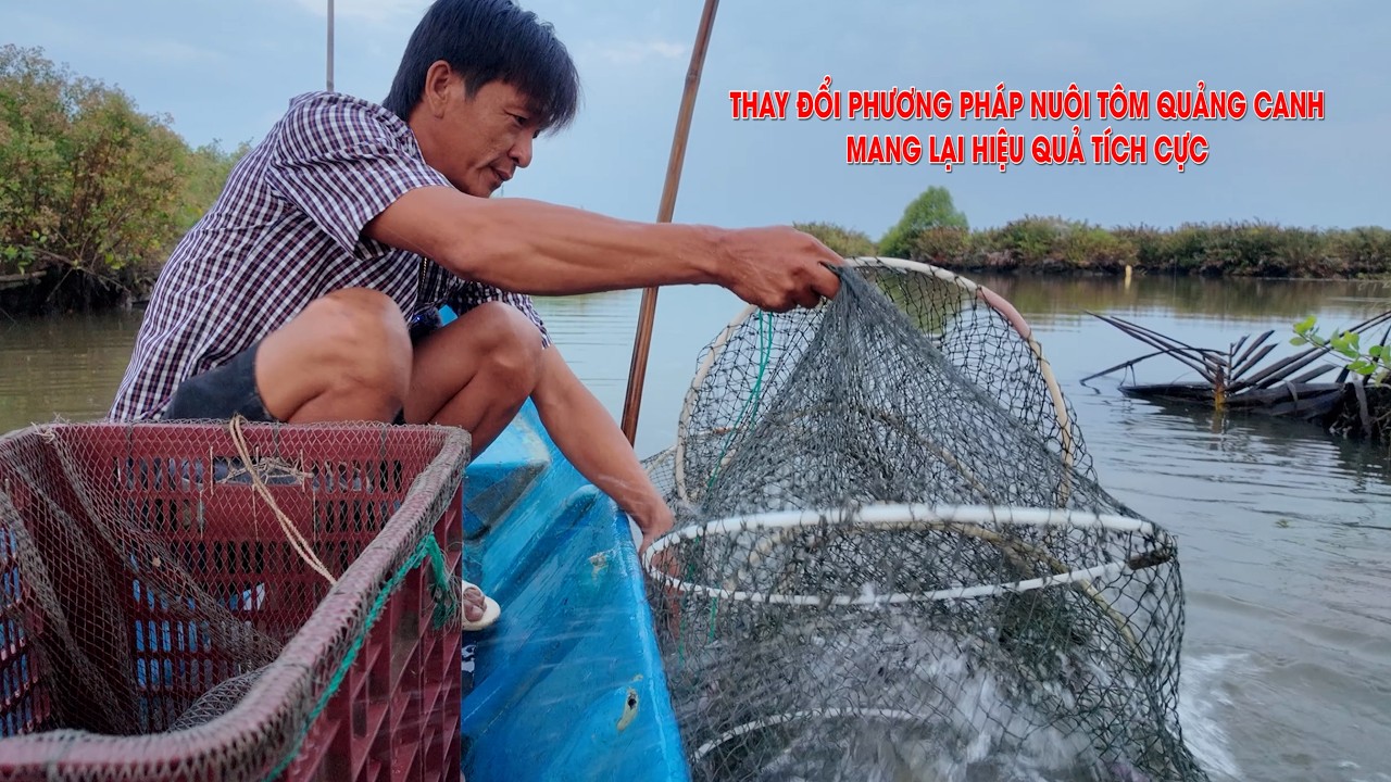 Thay đổi phương pháp nuôi tôm quảng canh