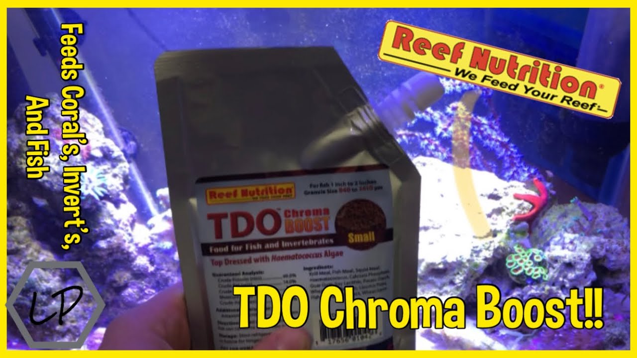 Reef Nutrition’s TDO Chroma Boost Review!!