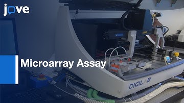 Microarray Assay to assess Influenza A virus Hemagglutinins | Protocol Preview