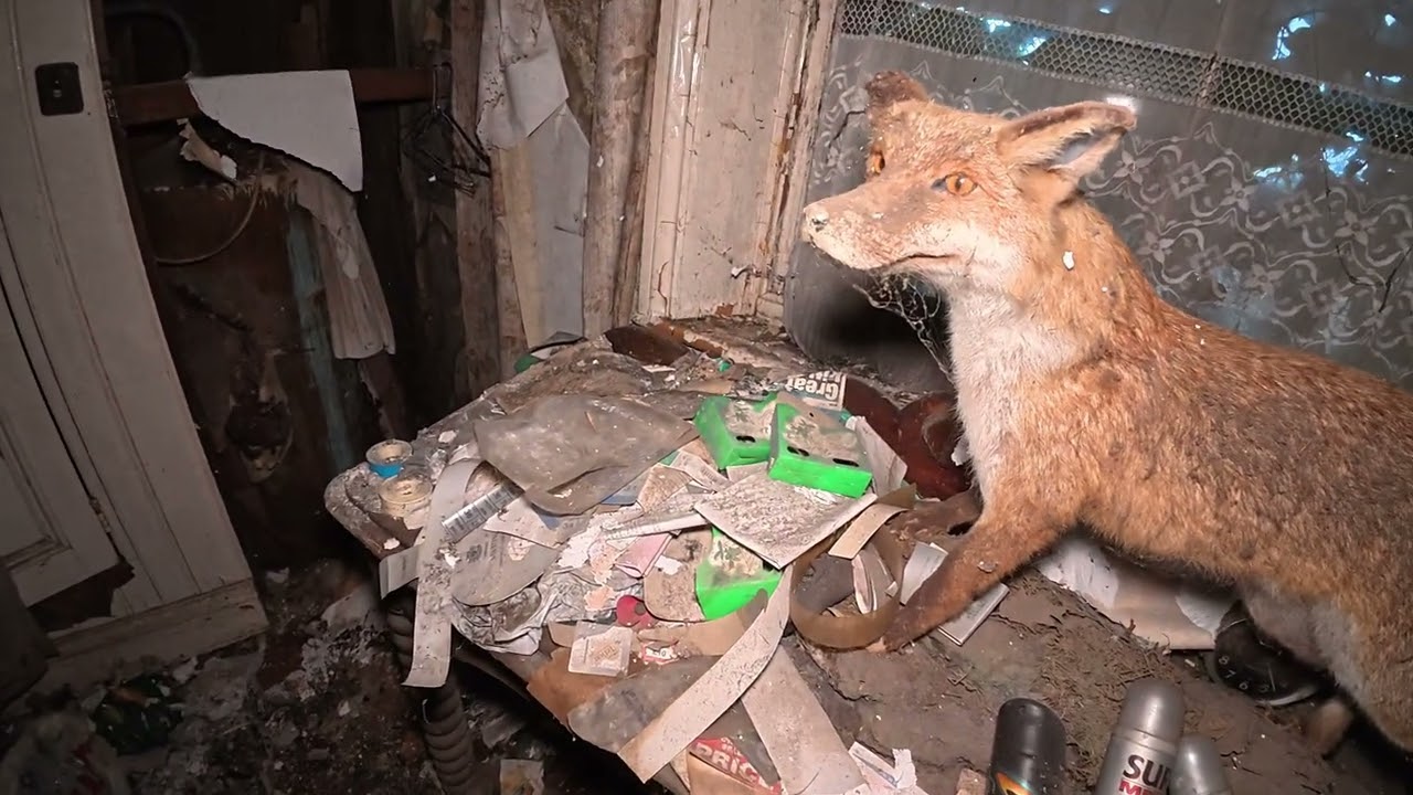 Exploring an abandoned farmhouse time capsule #urbex #abandoned 